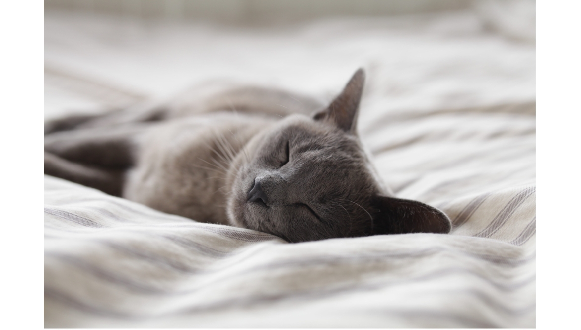 Na kvalitě záleží. Jak poznat skutečně kvalitní povlečení?